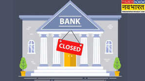 Bank Holiday Today आज शनिवार के दिन बैंक खुलेंगे या नहीं ब्रांच जाने से पहले करें चेक
