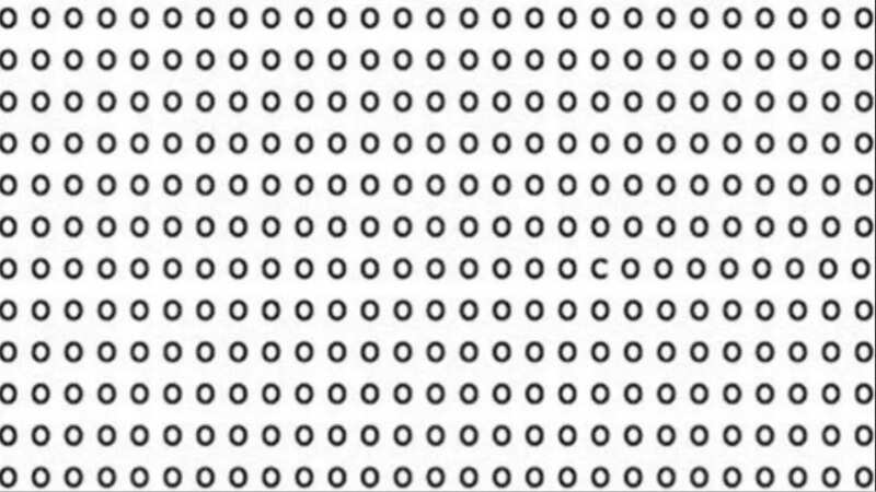 Optical Illusion Test