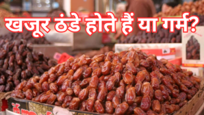 खजूर गर्म होते हैं या ठंडे 99 लोगों से यहां हो जाती है चूक आयुर्वेदाचार्य ने बताया सेवन का सही तरीका