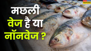 मछली वेजिटेरियन है या नॉन-वेजिटेरियन सच्चाई सुन आपके होश उड़ जाएंगे