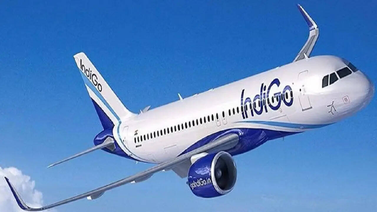 Indigo aircraft