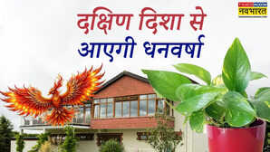घर की दक्षिण दिशा को यूं करें एक्टिवेट बढ़ेगा पैसा और खत्म होगा संकट