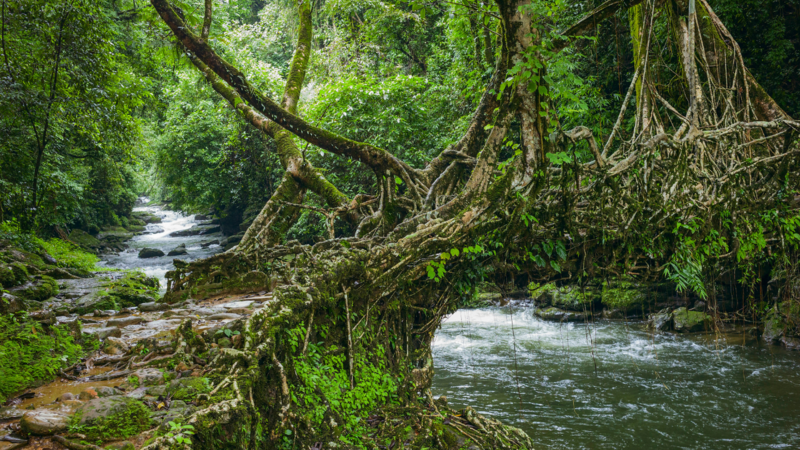 shillong places to visit