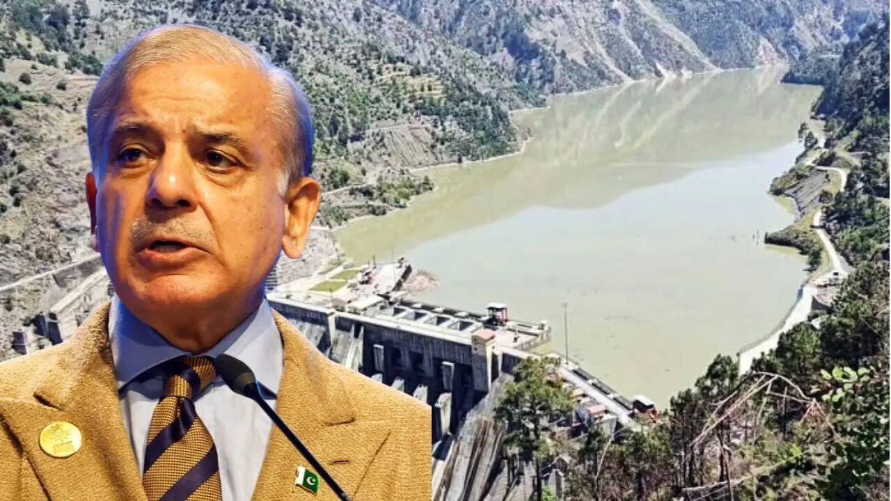Presa de Pakistán
