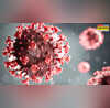 Corona Virus गौतम बुद्ध नगर में नहीं थम रही कोरोना की रफ्तार 45 नए मामले किए गए दर्ज
