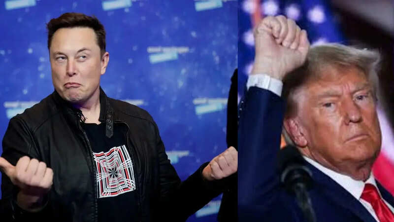 Musk slammed Trump's tax bill