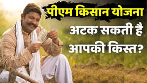 PM किसान योजना की 20वीं किस्त कब आएगी पहले निपटाएं ये जरूरी काम वरना अटक सकता है भुगतान