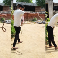 Viral Video Today सांप को हाथ में मजे से लेकर जा रहा था लड़का फिर हुआ ऐसा खेल देखकर कलेजा कांप जाएगा