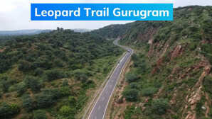 Leopard Trail गुरुग्राम में करें रोमांचक सफर शहर के पास हो जाएगा जंगल का अहसास