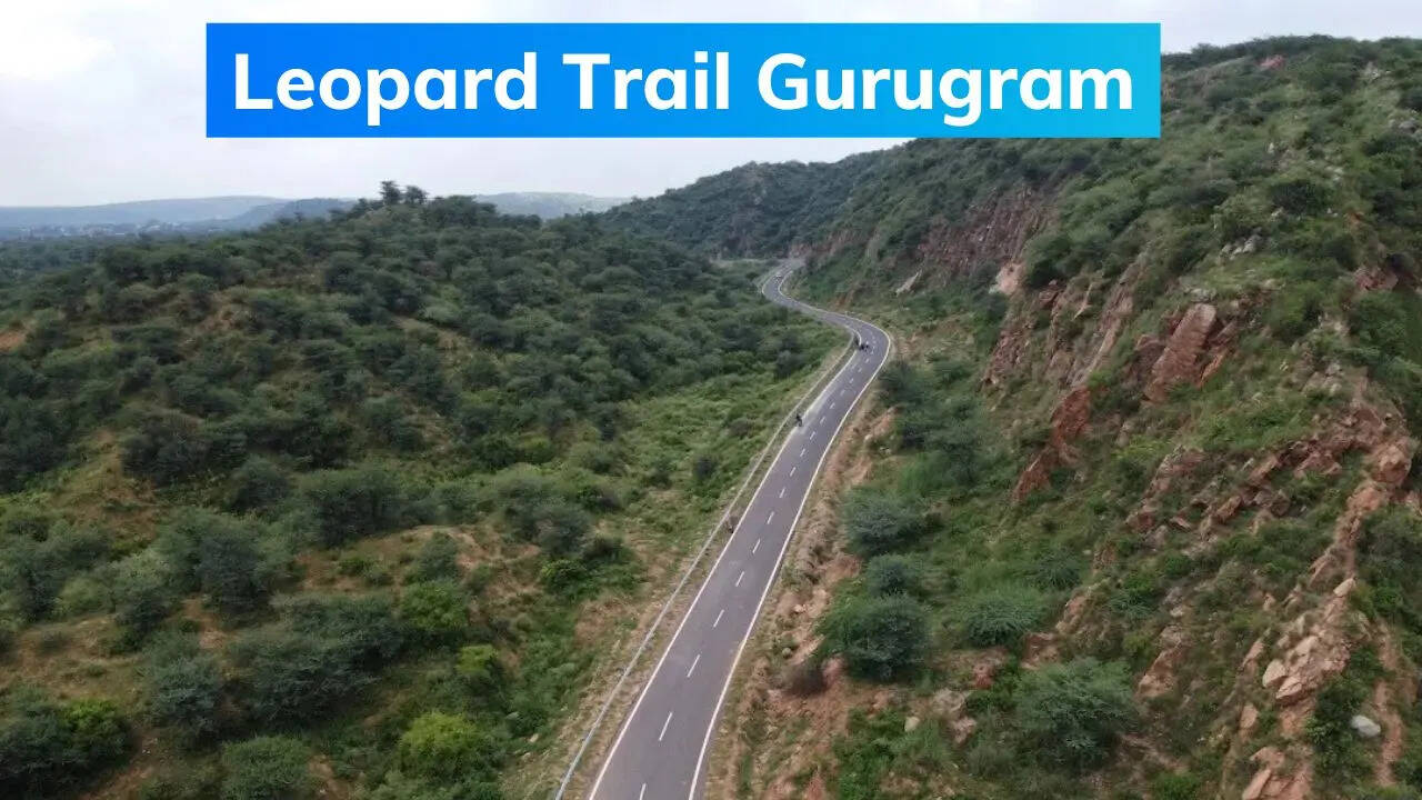 Leopard trail Gurukram