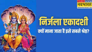 निर्जला एकादशी एक व्रत 24 एकादशियों के बराबर पुण्य जानिए इसका दिव्य महत्व