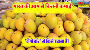 भारत 4000 साल से उगा रहा आम फिर भी क्यों हैं पीछे क्या मुकेश अंबानी का ये आमनगर बदलेगा खेल