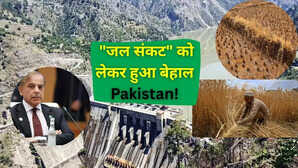 बिन पानी पाकिस्तान में मचा हाहाकारझुलसीं फसलें जनता महंगाई से बेहाल PAK पर दोहरी मार