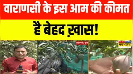 Varanasi Mango News | 24 घंटे सीसीटीवी की निगरानी... चप्पे-चप्पे पर पहरेदारी! | Hindi News | UP News