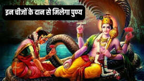 Nirjala Ekadashi Daan निर्जला एकादशी पर इन वस्तुओं का करें दान मिलेगा अखंड पुण्य और विष्णु कृपा