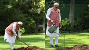 पर्यावरण दिवस पर PM मोदी ने अपने आवास पर लगाया सिंदूर का पौधा कच्छ में महिलाओं ने किया था भेंट