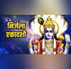 Nirjala Ekadashi Wishes Quotes भगवान विष्णु की भक्ति से नूर मिलेनिर्जला एकादशी पर अपने प्रियजनों को भेजें ये खास संदेश बनी रहेगी भगवान विष्णु की कृपा
