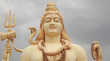 Nag Panchami 2025 Date नाग पंचमी कब है 2025 में क्यों मनाई जाती है
