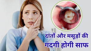 दांतों में चिपकी गंदगी को खींच बाहर करें ये फूड सड़न और मसूड़ों की सूजन भी धीरे-धीरे होगी कम नहीं लगेगा कीड़ा