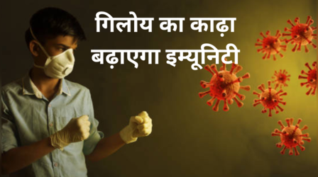 हर दिन बढ़ रहा देश में कोरोना का कहर, इम्यूनिटी बढ़ाने के लिए आज से पीना शुरू कर दें इस पत्ते का काढ़ा