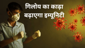 हर दिन बढ़ रहा देश में कोरोना का कहर इम्यूनिटी बढ़ाने के लिए आज से पीना शुरू कर दें इस पत्ते का काढ़ा