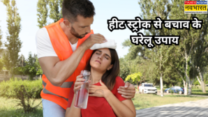 आसमान से बरस रही आग पारा पहुंचा 40 के पार हीट स्ट्रोक से बचाव के लिए अपनाएं ये कारगर घरेलू उपाय