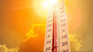 Bihar Weather मानसून के इंतजार बिहार बना भट्ठी गर्मी-उमस से हाल बेहाल IMD ने किया येलो अलर्ट जारी