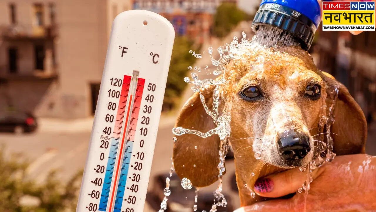 Clima de ola de calor ncr