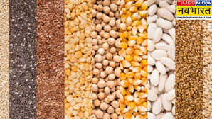 Cereal Seeds किसानों को FREE में दी जा रही मोटे अनाज के बीजों की मिनी किट विकसित कृषि संकल्प अभियान के तहत खास पहल