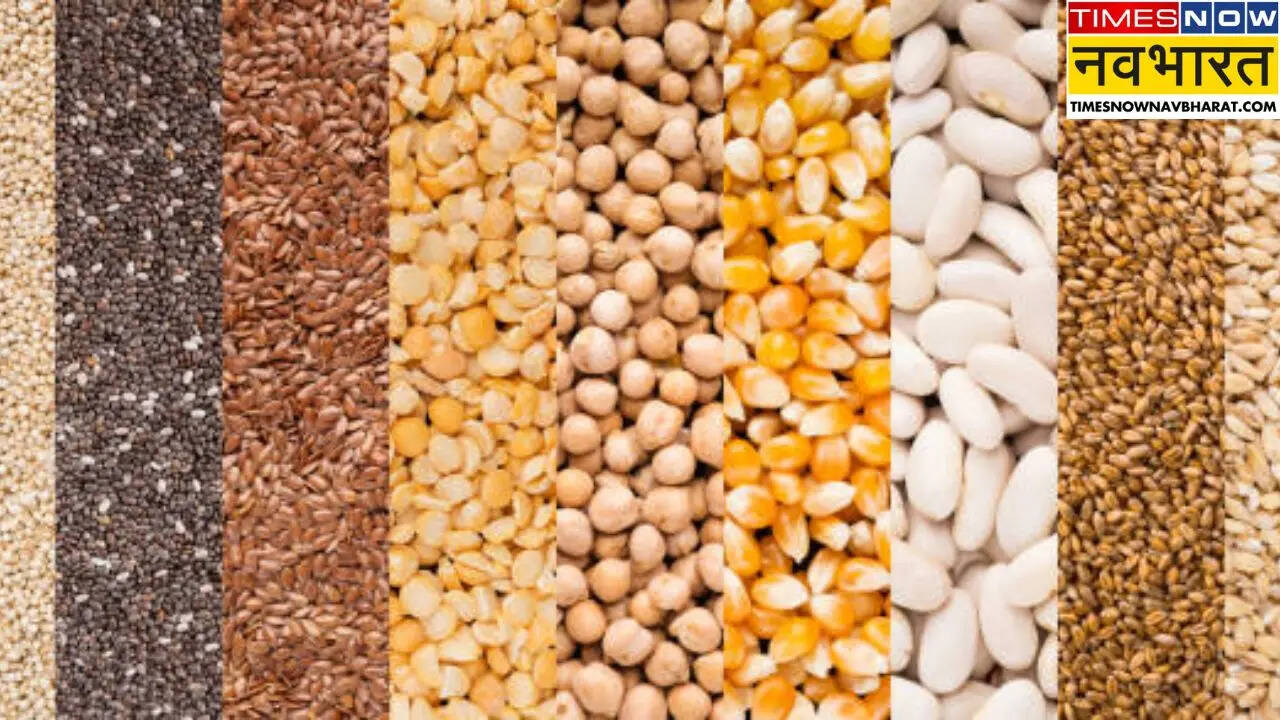 Cereal Seeds Mini Kit