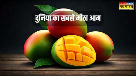 दुनिया के सबसे मीठे आम का क्या है नाम? हर आम में 4 चम्मच चीनी की मिठास, स्वाद भी खास