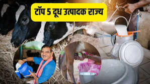 ये 5 राज्य भारतीयों को पिलाते हैं सबसे ज्यादा दूध करते हैं इतना उत्पादन