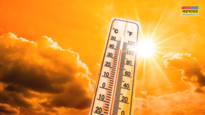 Delhi Extream Heat प्रचंड गर्मी में तपा दिल्ली-NCR कल तापमान 45C डिग्री करेगा क्रॉस लू का ऑरेंज अलर्ट