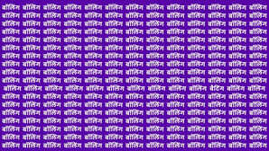 Optical Illusion Challenge बॉलिंग की भीड़ में कहां छिपा रखी है बैटिंग अगर दम है तो आज खोजकर दिखा दें