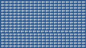 Brain Test बाज जैसी नजर भी फेल हो गई यहां आसान नहीं है सुंदर में छिपी सुंदरी खोजना