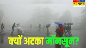 प्रचंड गर्मी ने निकाला दम हीटवेव की चपेट में पूरा उत्तर भारत आखिर क्यों अटक जाता है मॉनसून
