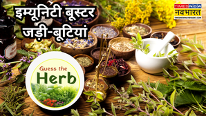Ayurveda सेहत का खजाना हैं ये आयुर्वेदिक जड़ी-बूटी इम्यूनिटी को रखती हैं बूस्ट और शरीर को रिचार्ज