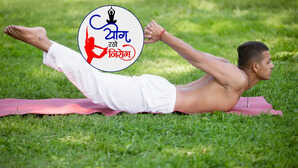 Yoga Day 2025 पीठ के दर्द में लाभकारी है शलभासन देखें करने का सही तरीका ताकि कमर में नहीं आए झटका