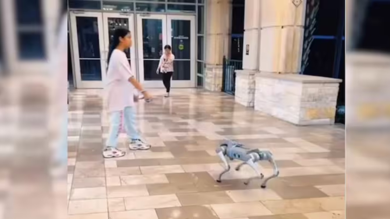 Robot Dog en el centro comercial Texos.