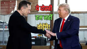 डोनाल्ड ट्रंप से माफी मांगने के बाद एलन मस्क की संपत्ति बढ़ी या घटी अब है कितनी