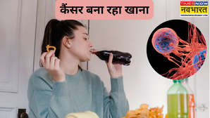 सेहत के लिए खतरनाक हैं ये चीजें कैंसर की बनती हैं बड़ी वजह खाने से पहले सौ बार सोचें