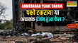 Ahmedabad plane crash पक्षी टकराया या अचानक इंजन हुआ फेल क्या है एयरलाइंस एक्सपर्ट की राय
