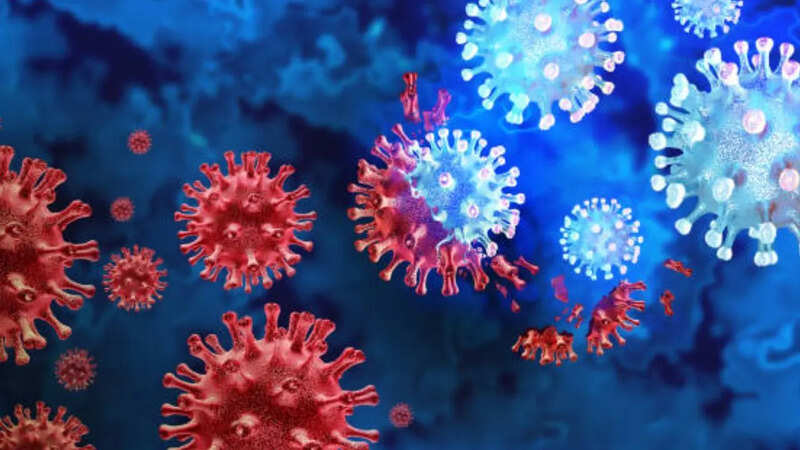 ​Coron in Rajasthan