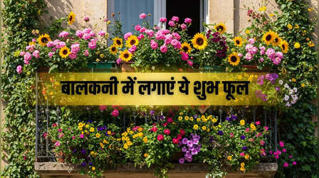 इन सुगंधित फूलों से सजाएं अपनी बालकनी, जहां महकेगी खुशबू वहां बरसेगी धन-दौलत