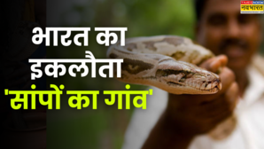 एक ऐसा खतरनाक गांव जहां इंसान और कोबरा दोनों रहते हैं साथ सच्चाई सुन हैरत में पड़ जाएंगे