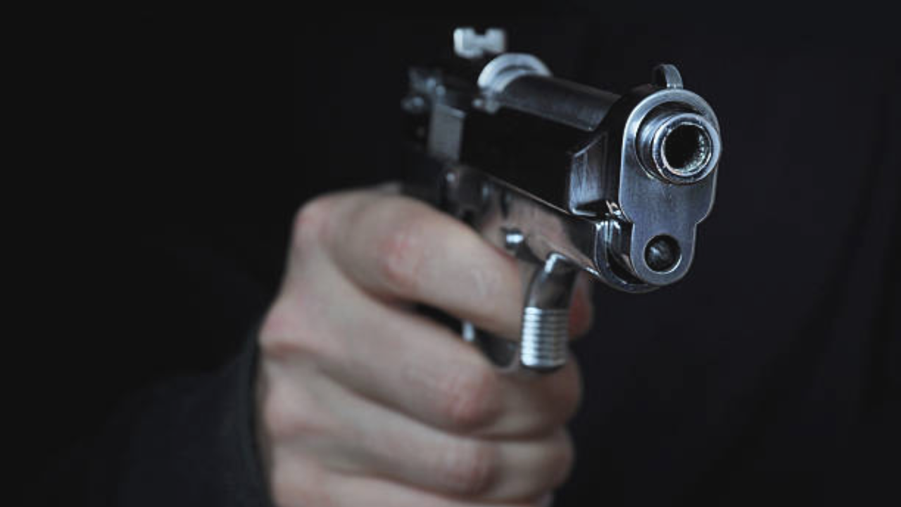 Gun