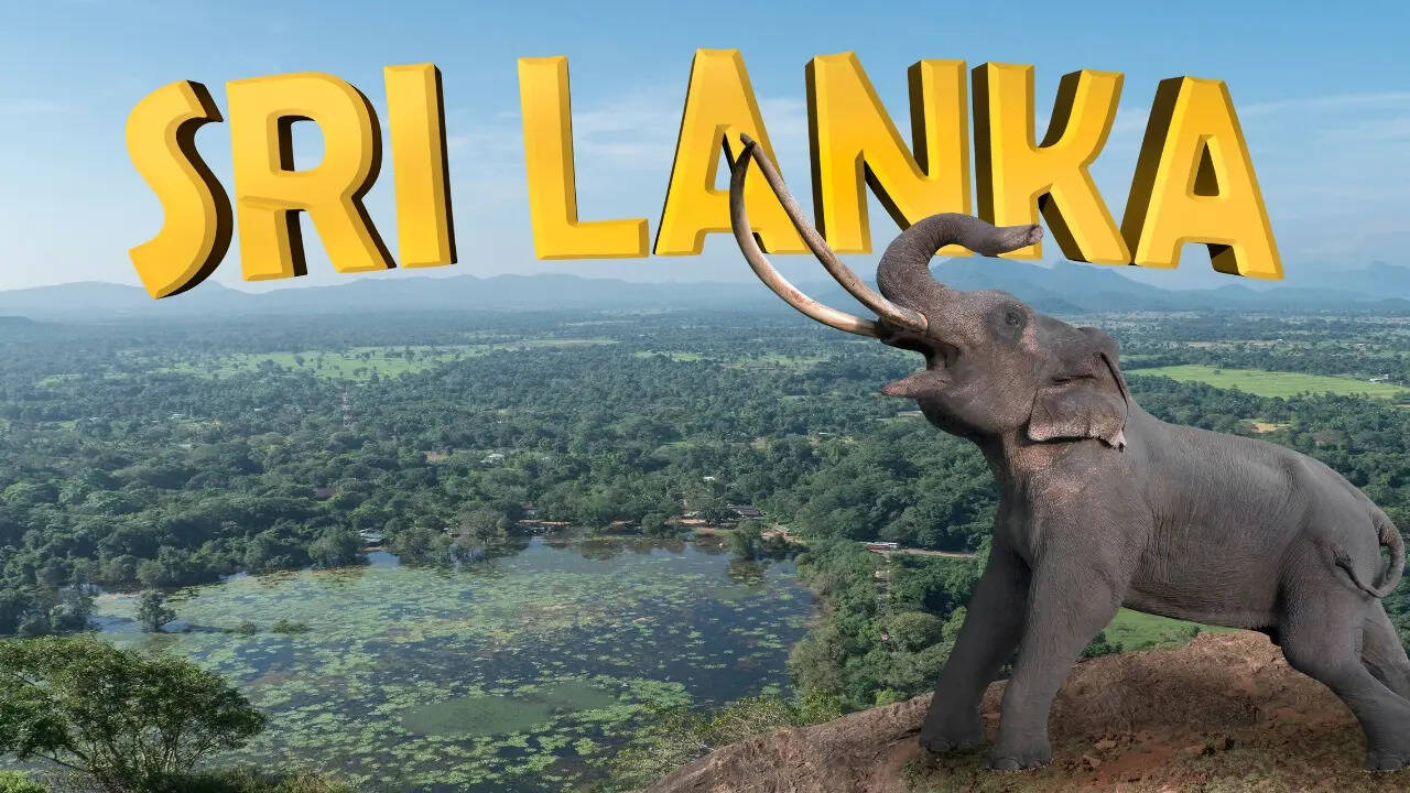 sri lanka Tour package