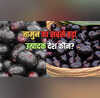 दुनिया में कहां होता सबसे ज्यादा जामुन टॉप 10 देशों में किस नंबर पर भारत