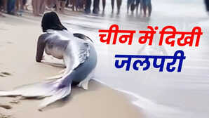 चीन में समुद्र किनारे पहुंच गई जलपरी देखते ही उड़े लोगों के होश