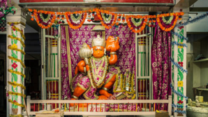 हनुमान जी को कौन सा फूल चढ़ाना चाहिए देखें बजरंग बली को कौन सा पुष्प प्रिय है
